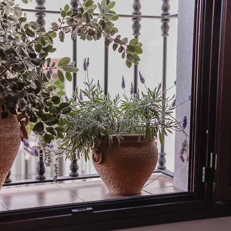 Yanes Bed and Breakfast